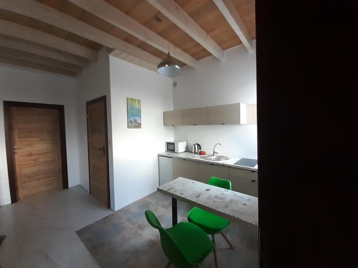 Apartamenty Roza Wiatrow 索莱克-特洛伊 外观 照片
